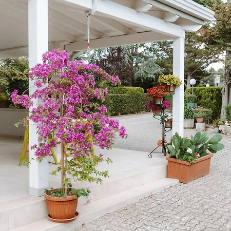 Holiday home Cercis - Puglia