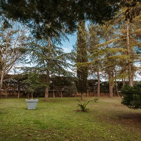 Ferienhaus Cercis - Puglia Altamura